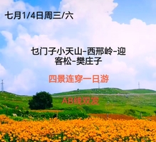 七月1/4日周三/六 蔚县赏金莲一日游