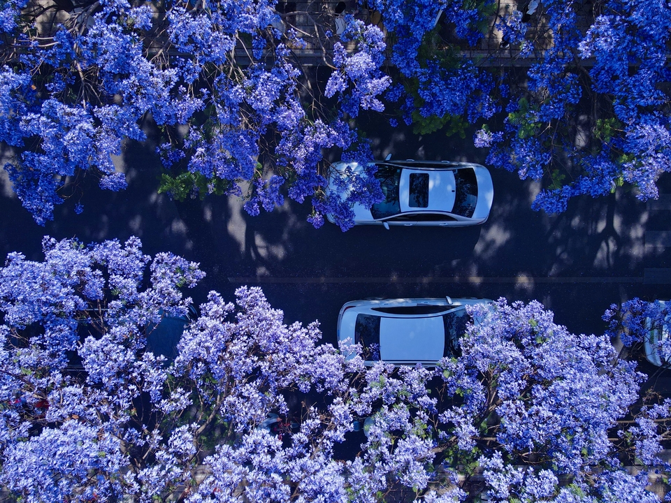 dji_fly_20230427_094808_531_1682560203975_photo