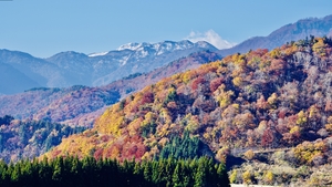 【小众寻秋·升龙道】11月15日行摄金泽&白川乡&中山道&富士山8天7晚