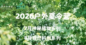 【嘉兴植物园·全托户外夏令营升级】6/29至8/29，陪伴整个暑期！单周起报！