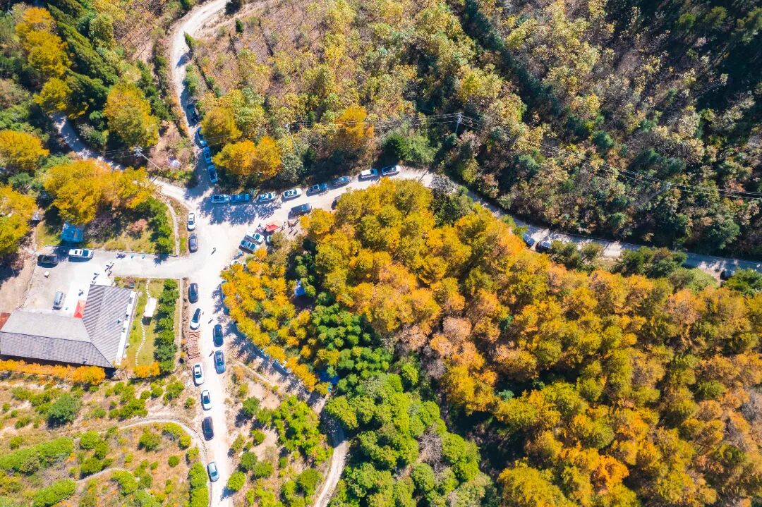 DJI_0068.jpg