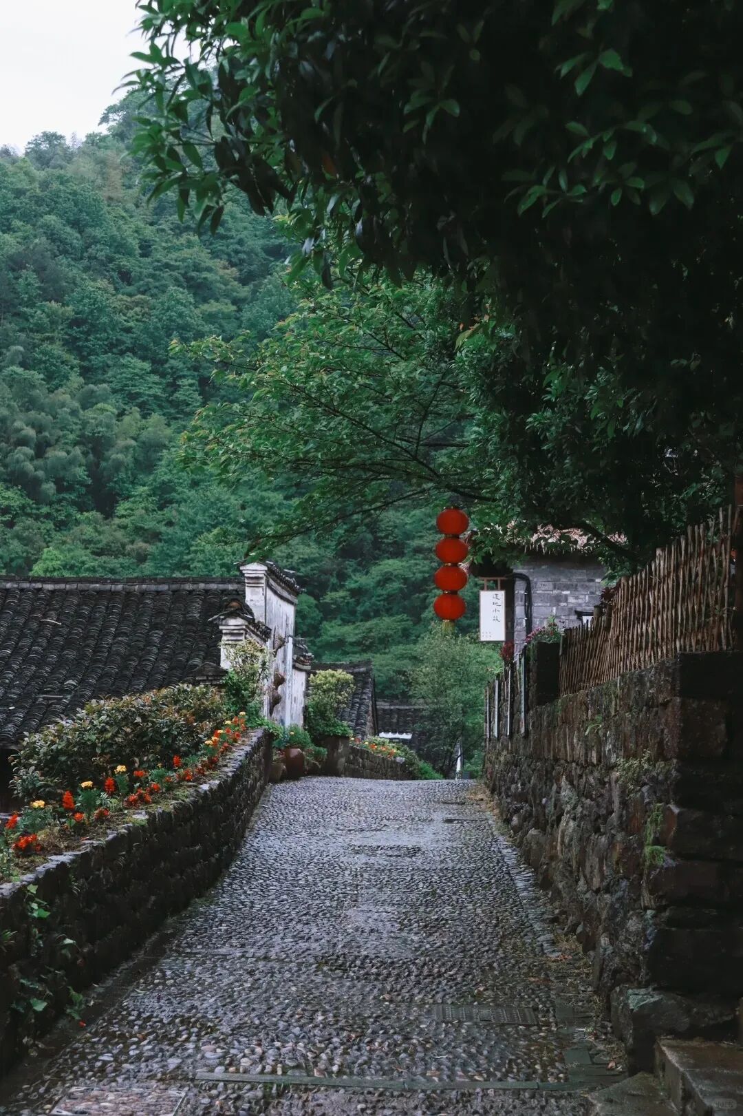 充满诗情画意的原始村落|李家坑古村落_3_小清清✨_来自小红书网页版.jpg