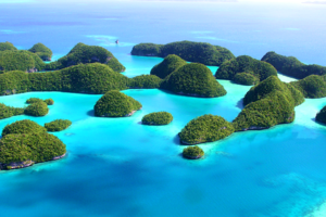 【免签·帕劳】6月17日探索“上帝的水族箱”