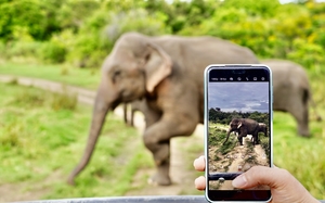 【锡兰的微笑】7月11日体验“印度洋的明珠”之斯里兰卡