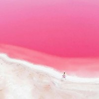 【精华澳洲】7月19日，自驾墨尔本大洋路&悉尼&西澳粉红湖&罗特尼斯岛纯玩9天8晚