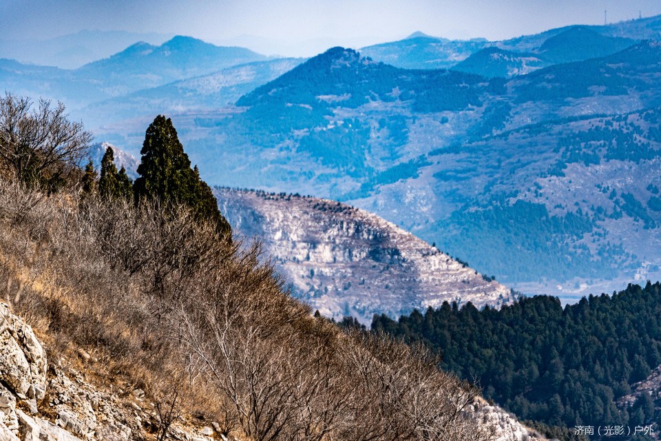 706f06b8a181de113a8b5827413f3824