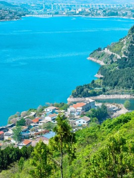 mmexport1776624842958