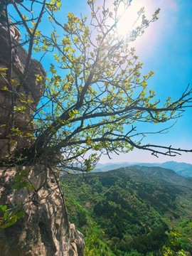 mmexport1776624839370