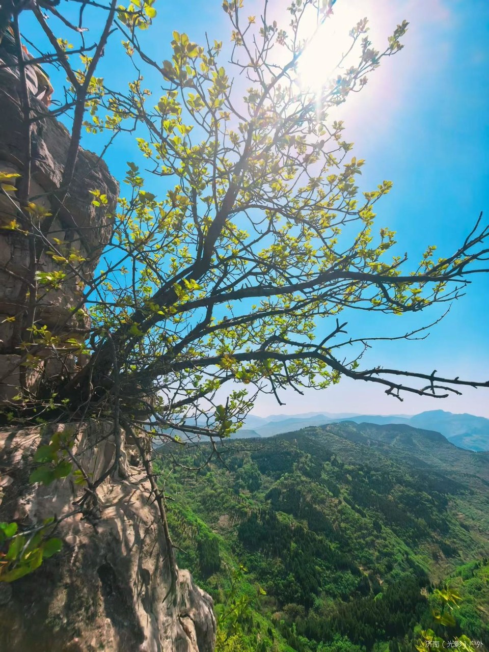 mmexport1776624839370