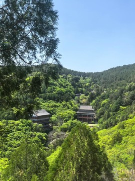 mmexport1776624743259