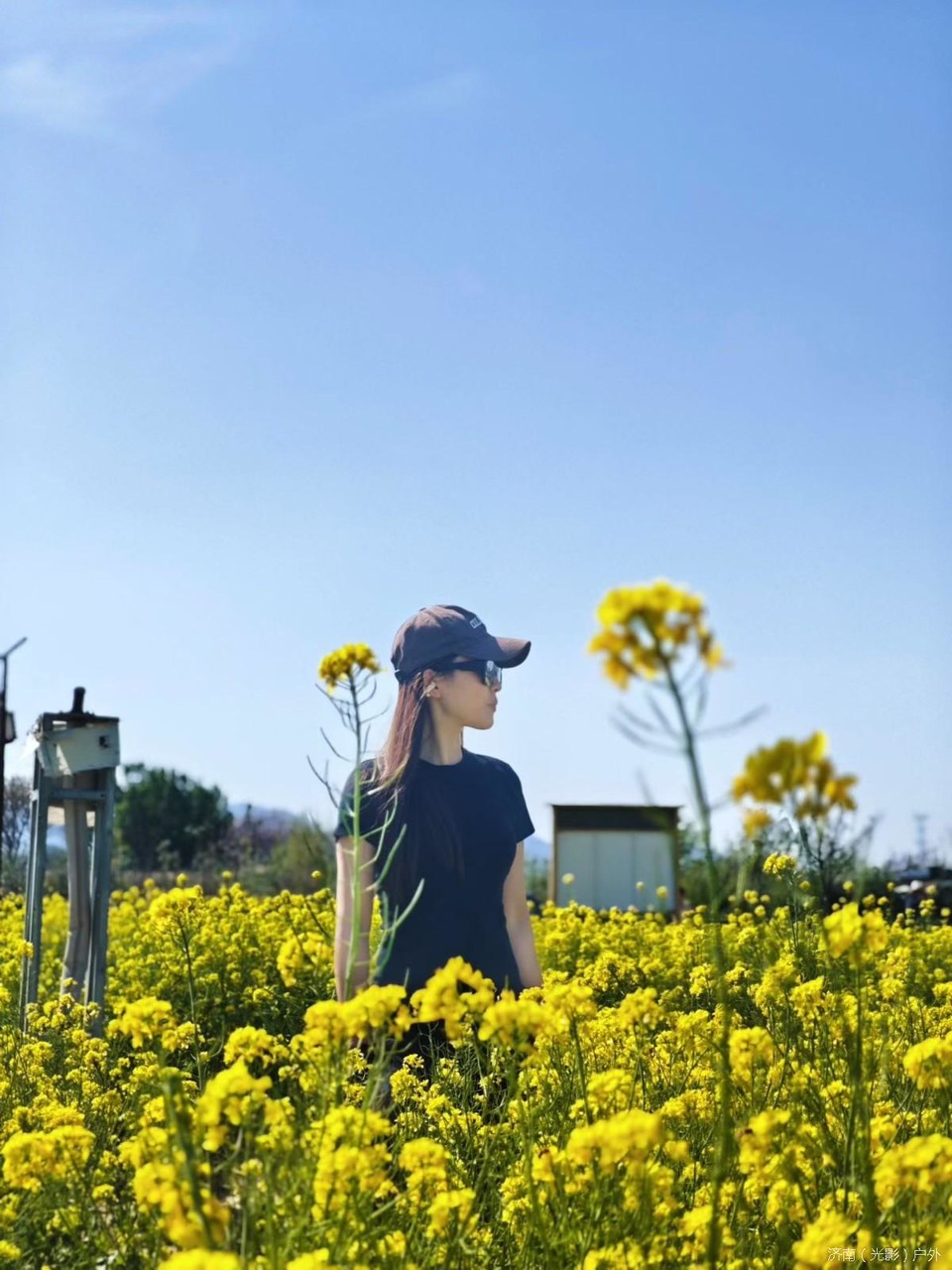 mmexport1776071611773