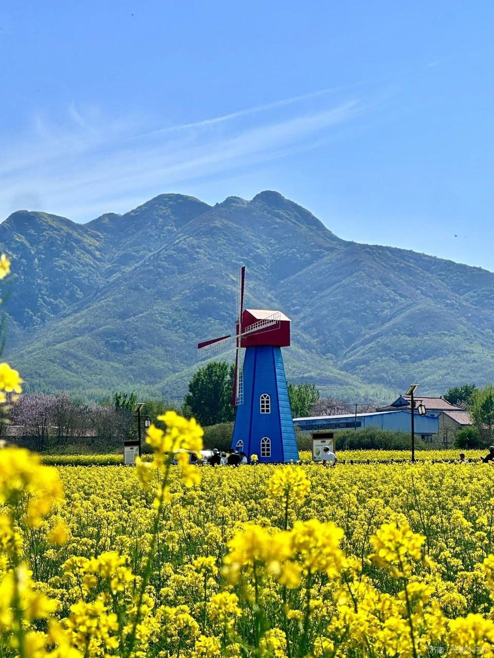 mmexport1776071600127