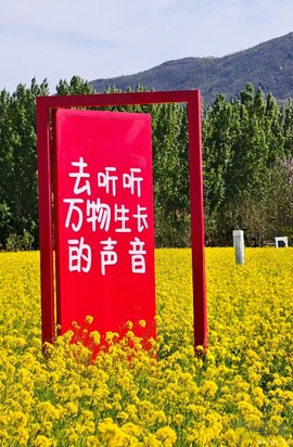 mmexport1776071706751