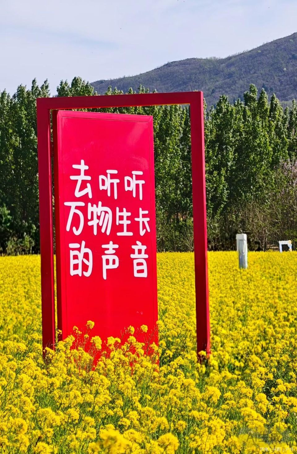 mmexport1776071706751