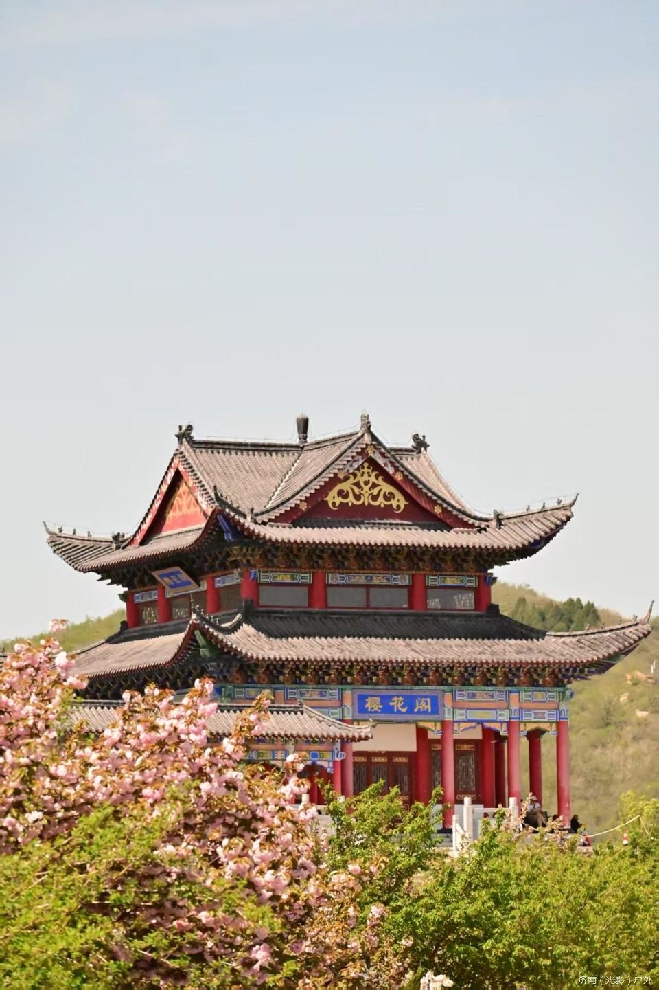 mmexport1776071524810