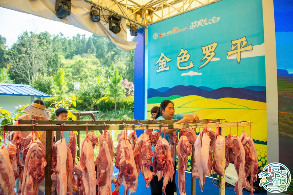 微信图片_20260409103619_118_81