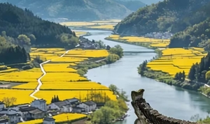 4.6 周一  春赴徽州 【新安江·山水画廊+徽州古城 】一日看尽徽州水墨与千年风华