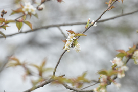TAN_1760_13_55_18