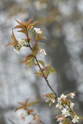 TAN_1764_13_56_04