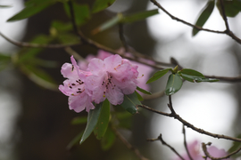 TAN_1786_14_22_54