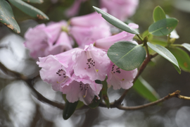 TAN_1796_14_36_51