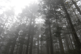 TAN_1904_15_28_56