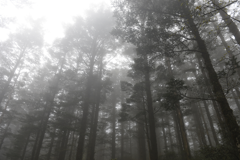 TAN_1904_15_28_56