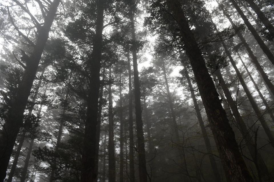 TAN_1908_15_30_23