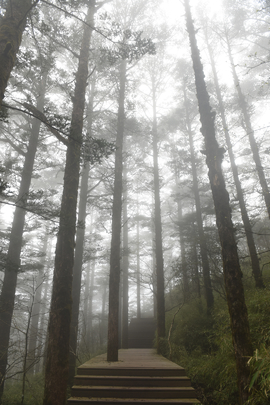 TAN_1911_15_31_04
