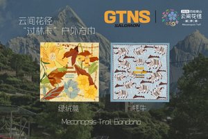 “过林卡”户外方巾｜云间花径