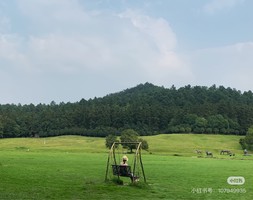 五一自组班，本社导游陪同 5.1-5.3号安吉三日游/淮安人一起出发/35个人左右小团