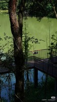 特惠自组班，康养团，本社导游陪同 5.18-5.22号浙江康养五日游/淮安人一起出发