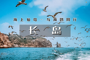 「超特惠-长岛」端午3天 | 海上仙山长岛の蓬莱-长岛-庙岛-万鸟岛-月亮湾-与海鸥为伴