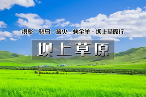 「超特惠-坝上草原」5.23~5.24 | 坝上正确打开方式の摄影、骑马、篝火、烤全羊、卡拉OK……