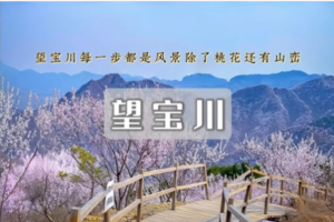 1日｜望宝川•东水峪村の带你去看十里桃花-徒步在粉色春天（初级）