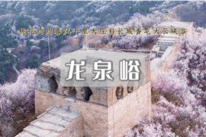 1日｜龙泉峪长城 •大庄科-大云峡谷-香屯の长城上赏桃花更有韵味（初级）