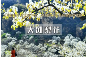 1日｜梯田梨花｜世外梨源&藏在大山深处的梨花古村-原始风貌古村-错落有致山谷梯田！