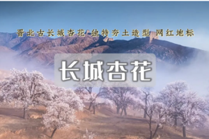 周末2日｜李二口长城｜守口堡杏花林の大同夯土长城の三晋杏乡花期限定-夜游大同古城