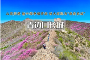 1日｜青边口｜塞外青边口&邂逅醉美榆叶梅-错过等一年（初级）