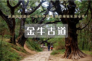 五一4日｜徒步古蜀道｜对话翠云廊-踏金牛古道-登剑门雄关の赴一场三千年蜀道徒步之约（可亲子）