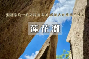  1日｜莲花滩•一线天-脑头山の秘境森林穿越-被松树林治愈的一天<初级>