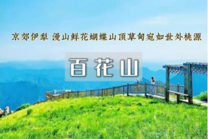 1日｜百花山•京郊伊犁の高山草甸-漫山鲜花蝴蝶-长木栈道-空中花园徒步