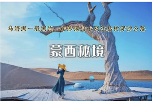 端午3日｜内蒙乌海•西部梦幻峡谷の乌海湖-网红枯树/公路-五当召-谷力脑包火山遗址