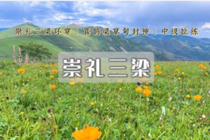 1日｜崇礼三梁｜高山草甸 云端花海の玉石梁-大鹰梁-喜鹊梁-环线徒步穿越