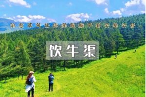 1日｜饮牛渠｜治愈草甸任你奔跑躺平看云卷云舒