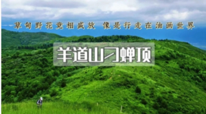 1日｜刁蝉顶•羊道山｜涿鹿之巅-避暑纳凉-漫山野花-与您相约向云端-13公里徒步（初级