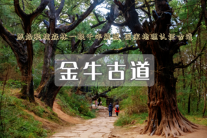 端午3日｜徒步古蜀道｜对话翠云廊-踏金牛古道-登剑门雄关の赴一场三千年蜀道徒步之约（可亲子）