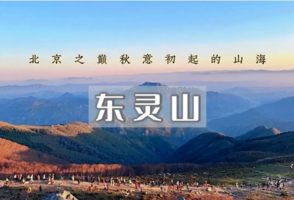 1日｜东灵山•挑战北京最高峰-腾云驾雾赏旷世之美<初中级>