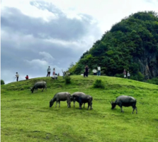 5.23/5.30【周六II江油云锣山】1日游   藏在雁门深处的高山秘境，徒步治愈天花板！