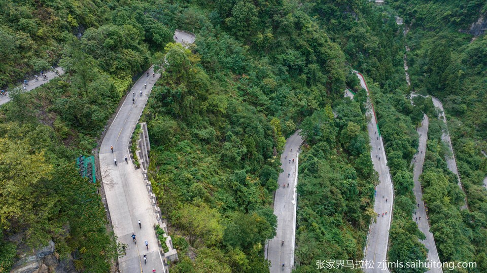 DJI_20240922092448_0203_D